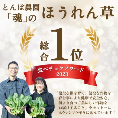 【定期便9回】ほうれん草 約1kg(150g x 7袋)【合計 約9kg】(H091121)