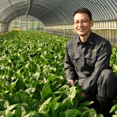 【定期便9回】ほうれん草 約1kg(150g x 7袋)【合計 約9kg】(H091121)