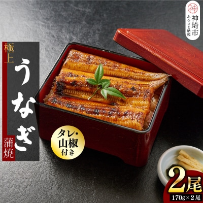 【職人手焼き】国産特大うなぎ蒲焼2尾(1尾あたり約170g前後)(H097113)