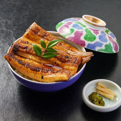 【職人手焼き】国産特大うなぎ蒲焼2尾(1尾あたり約170g前後)(H097113)
