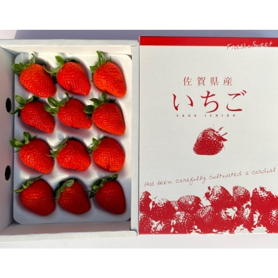 【先行受付】いちごさん さがほのか 大玉いちごセット 9粒から15粒(H101101)
