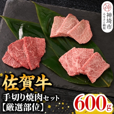 【1月発送】【こだわりの手切り!】牧場直送 佐賀牛焼肉セット(厳選部位)(H106219)