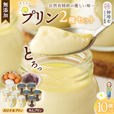 本間農園の無添加プリン2種 10個セット (H073113)