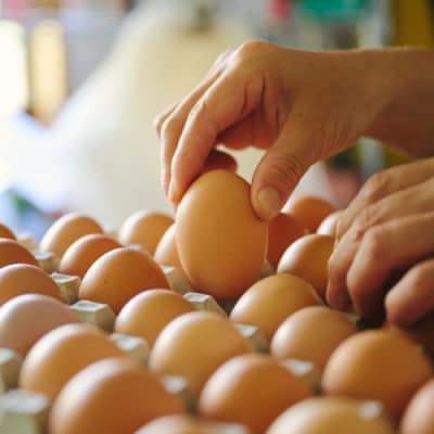 本間農園の無添加あんプリン5個セット (H073114)