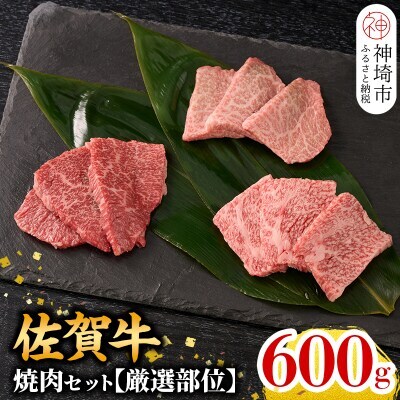 【4月発送】牧場直送 佐賀牛焼肉セット(厳選部位)(H106225)