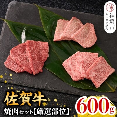 【8月発送】牧場直送 佐賀牛焼肉セット(厳選部位)(H106144)