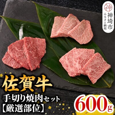 【8月発送】【こだわりの手切り!】牧場直送 佐賀牛焼肉セット(厳選部位)(H106162)