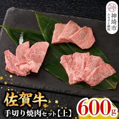 【9月発送】【こだわりの手切り!】牧場直送 佐賀牛焼肉セット(上)(H106172)