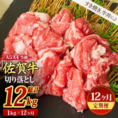 【12回定期便】切り落とし 1000g (500gx2)A4A5 すき焼き 牛丼 (H085196)