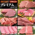 【特選定期便 全12回】佐賀牛 プレミアムセレクト便【合計 23.4kg】(H085198)