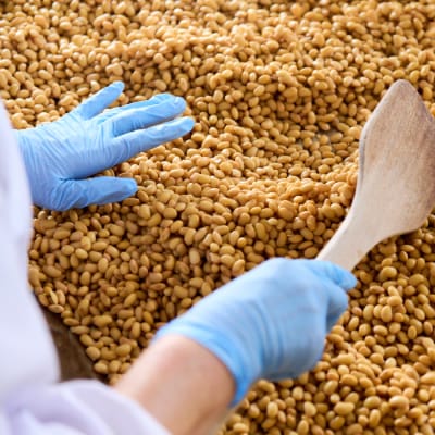 添加物不使用 手作り【こじかの白雪みそ】500g×2パック・小分け(H090102)