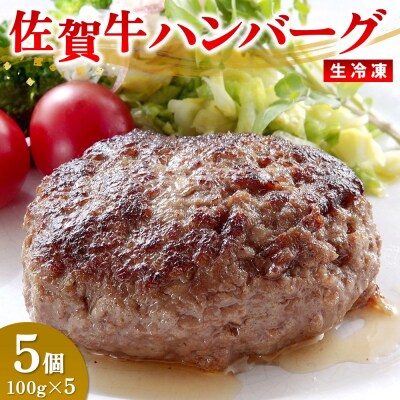 レンジで簡単調理!佐賀牛ハンバーグ(生冷凍)(H106201)