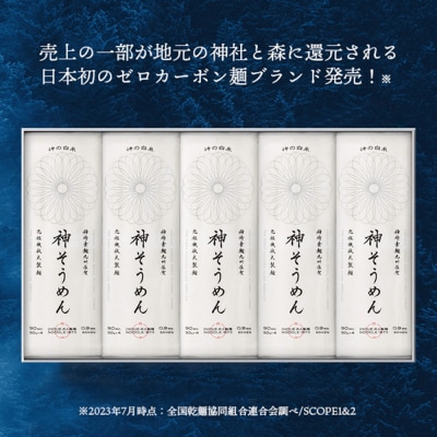 神の白糸「神そうめん」10袋入(H057134)