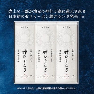 神の白糸「神ひやむぎ」6袋入(H057135)