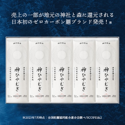 神の白糸「神ひやむぎ」10袋入(H057136)