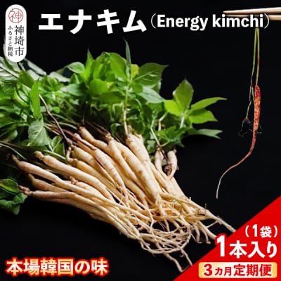 【3カ月定期便】一子相伝 秘伝のエナキム(高麗人参スプラウト・キムチ)1袋1本入り(H104310)
