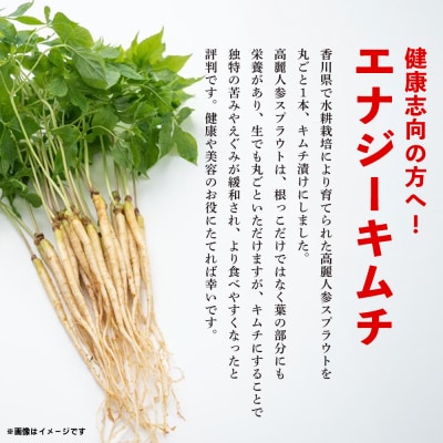 【3カ月定期便】一子相伝 秘伝のエナキム(高麗人参スプラウト・キムチ)1袋1本入り(H104310)