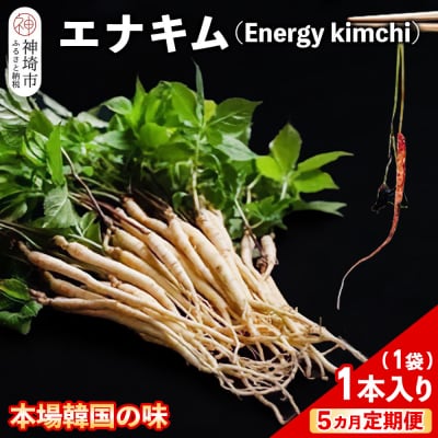 【5カ月定期便】一子相伝 秘伝のエナキム(高麗人参スプラウト・キムチ)1袋1本入り(H104311)