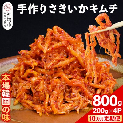 【10カ月定期便】【一子相伝】秘伝のさきいかキムチ 200g×4パック(H104113)