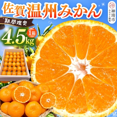 【令和7年11月下旬より発送】佐賀温州みかん(1箱 4.5kg)(H072107)