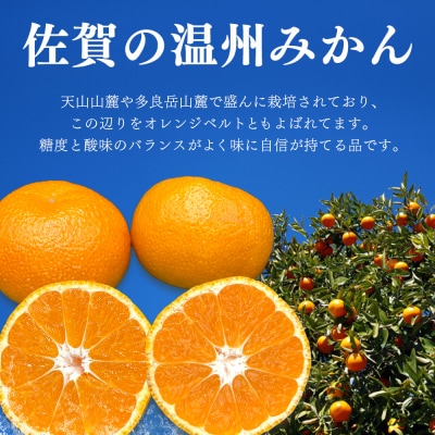 【令和7年11月下旬より発送】佐賀温州みかん(1箱 4.5kg)(H072107)