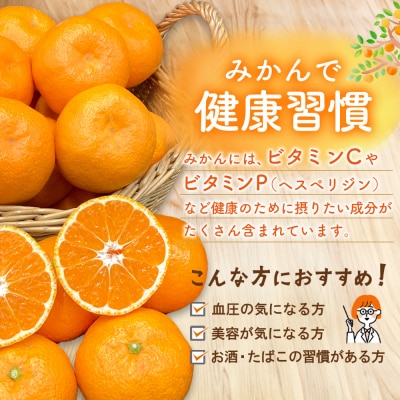 【令和7年11月下旬より発送】佐賀温州みかん(1箱 4.5kg)(H072107)