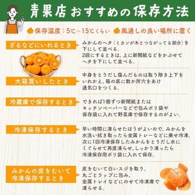 【令和7年11月下旬より発送】佐賀温州みかん(1箱 4.5kg)(H072107)