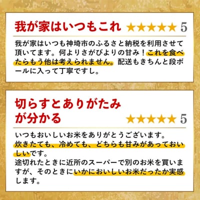 【数量限定】【令和6年産】さがびより 精米 5kg(H015197)