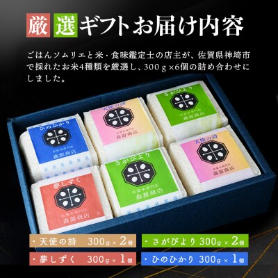 【数量限定】令和7年産 佐賀県神埼米厳選ギフトセット(精米) (H063143)