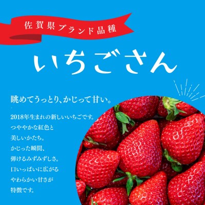 【先行受付 R8年1月下旬より発送】特選いちご(いちごさん) 250g×2パック(H101106)