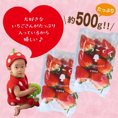 【先行受付】特選いちご(いちごさん) 250g×2パック(H101106)
