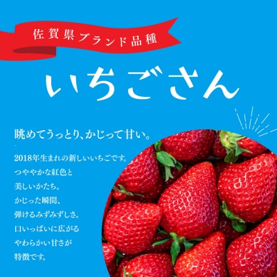 【先行受付 R8年1月下旬より発送】特選いちご(いちごさん) 250g×4パック(H101107)
