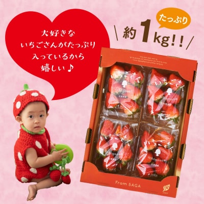 【先行受付】特選いちご(いちごさん) 250g×4パック(H101107)