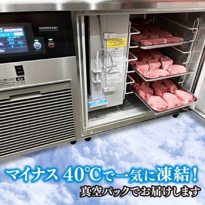 佐賀牛シャトーブリアン(200g×3枚)(H107109)