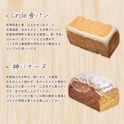 【10カ月定期便】4種類のパン焼きたての味直送便(H111104)