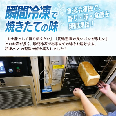 【10カ月定期便】4種類のパン焼きたての味直送便(H111104)