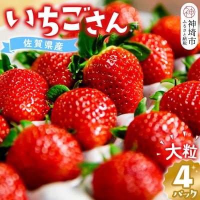 【先行受付】佐賀県産『いちごさん』4Pセット(H108101)