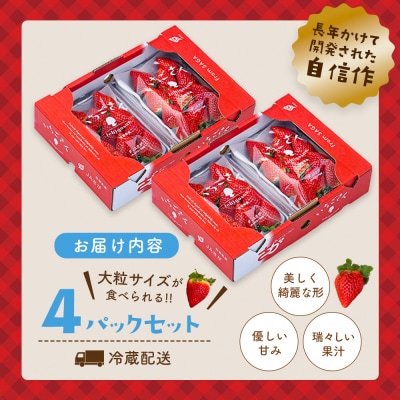 【先行受付】佐賀県産『いちごさん』4Pセット(H108101)