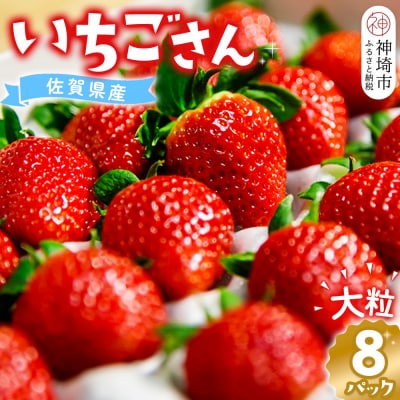 【先行受付】佐賀県産『いちごさん』8Pセット(H108102)