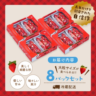 【先行受付】佐賀県産『いちごさん』8Pセット(H108102)