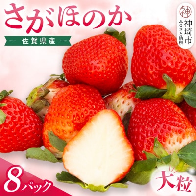 【先行受付】佐賀県産『さがほのか』8Pセット(H108104)
