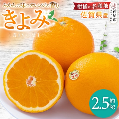 【先行受付 令和8年3月より発送】佐賀県産柑橘『清見』約2500g(H108109)