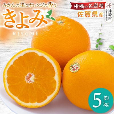 【先行受付 令和8年3月より発送】佐賀県産柑橘『清見』約5000g(H108110)