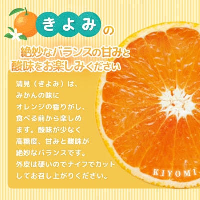 【先行受付 令和8年3月より発送】佐賀県産柑橘『清見』約5000g(H108110)