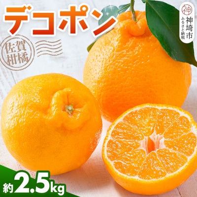 【令和8年2月より発送】佐賀県産柑橘『デコポン』約2500g(H108111)