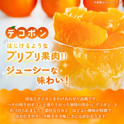 【令和8年2月より発送】佐賀県産柑橘『デコポン』約5000g(H108112)