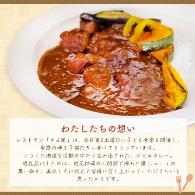【猪骨スープ】まりこばあちゃんのこだわりジビエカレー2食分(H109101)
