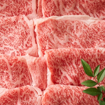 佐賀牛しゃぶしゃぶすき焼き用(肩ロース・肩バラ・モモ)800g(H112109)