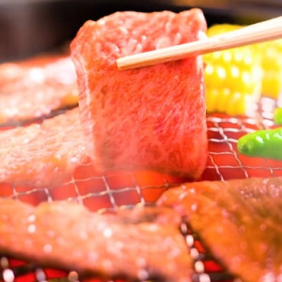 【A4～A5】佐賀牛焼肉用 1kg(500g×2P)(H112112)