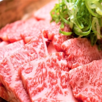 【A4～A5】佐賀牛焼肉用 1kg(500g×2P)(H112112)